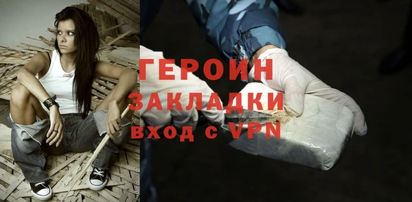 индика Осинники