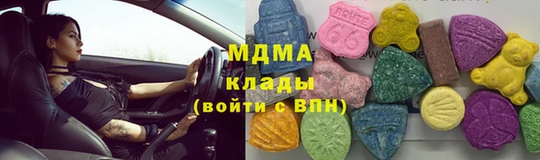 индика Осинники