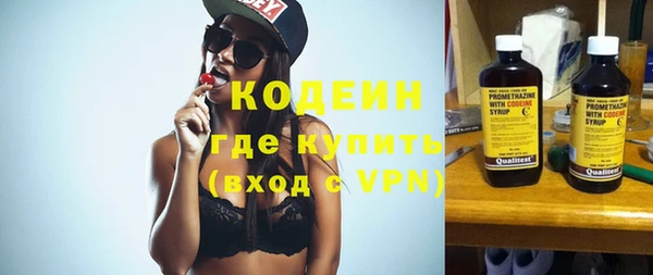 индика Осинники