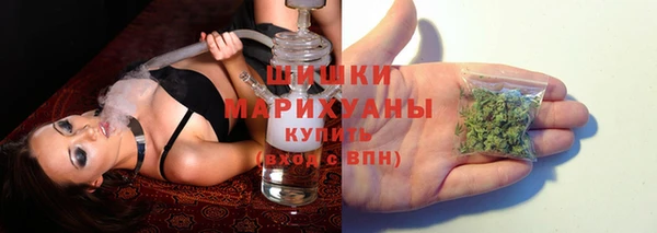индика Осинники