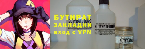 индика Осинники