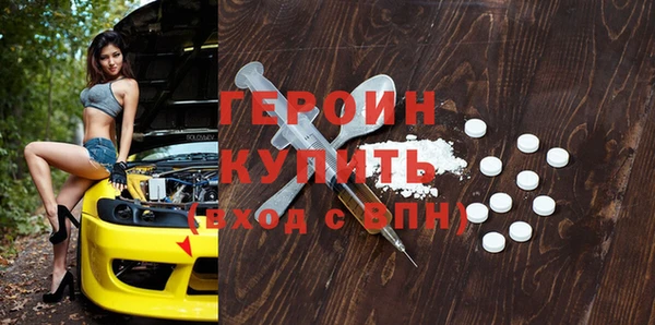 индика Осинники