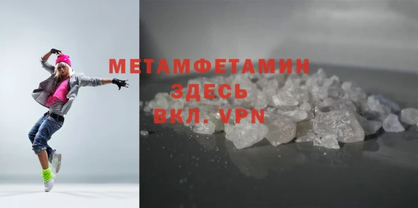 индика Осинники