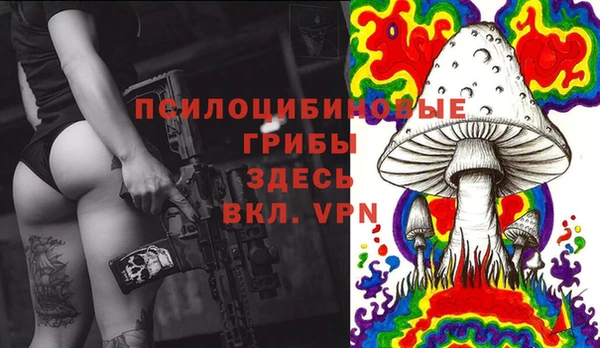 ПСИЛОЦИБИНОВЫЕ ГРИБЫ Остров