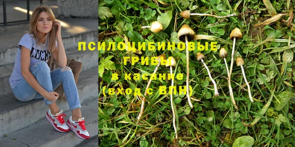 ПСИЛОЦИБИНОВЫЕ ГРИБЫ Остров