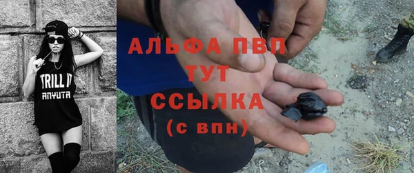 индика Осинники