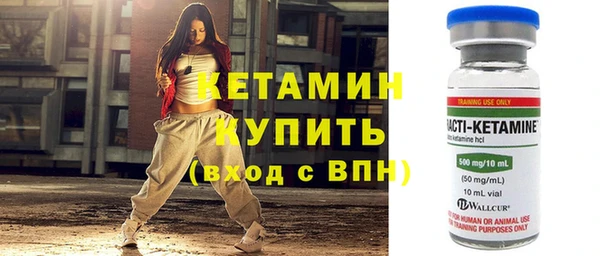 индика Осинники