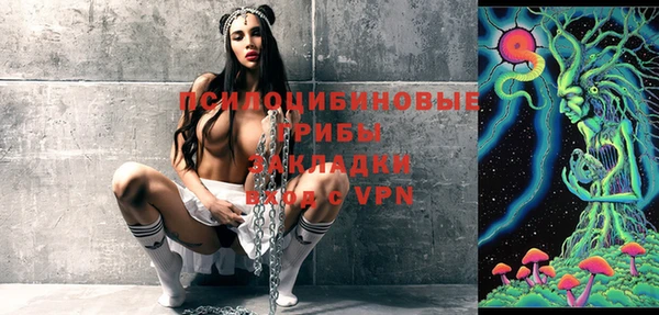 прущие грибы Чекалин