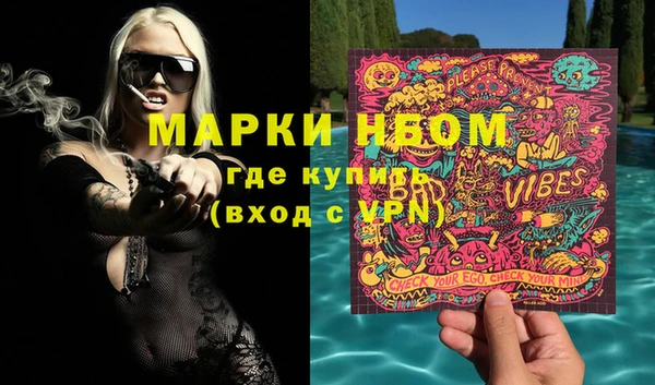 индика Осинники