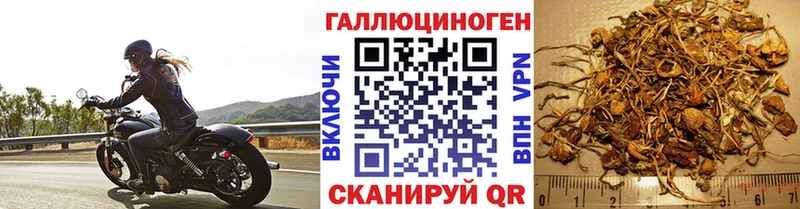 omg как войти  что такое наркотик  Калининец  Галлюциногенные грибы Magic Shrooms 