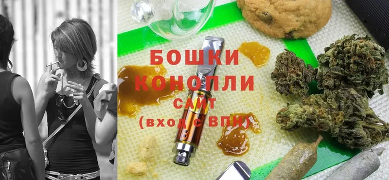 Бошки Шишки планчик  Калининец 